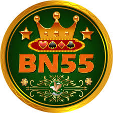 BN55 game
